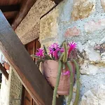 Apartment Rurales La Caviana Cangas de Onis