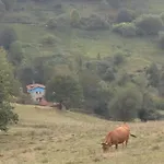 Rurales La Caviana 公寓 Onís