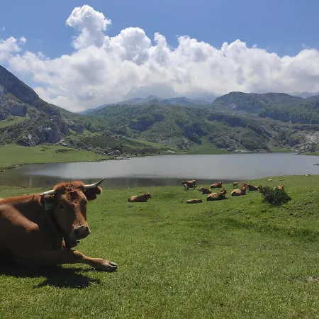 Rurales La Caviana *
