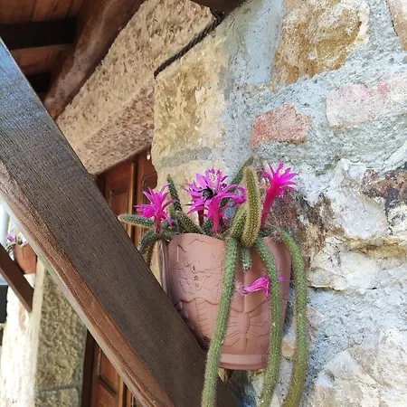 Apartment Rurales La Caviana Cangas de Onis