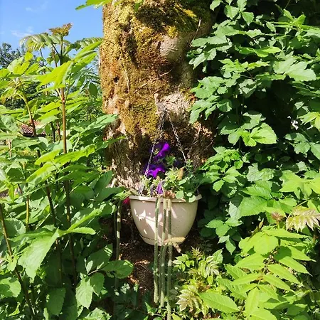 Apartamento Rurales La Caviana *