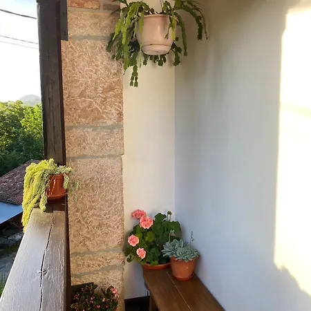 Apartament Rurales La Caviana Onís