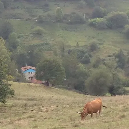 Rurales La Caviana Appartement Onís
