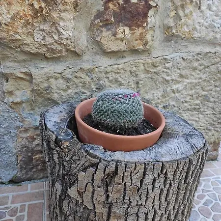 Appartement Rurales La Caviana Onís